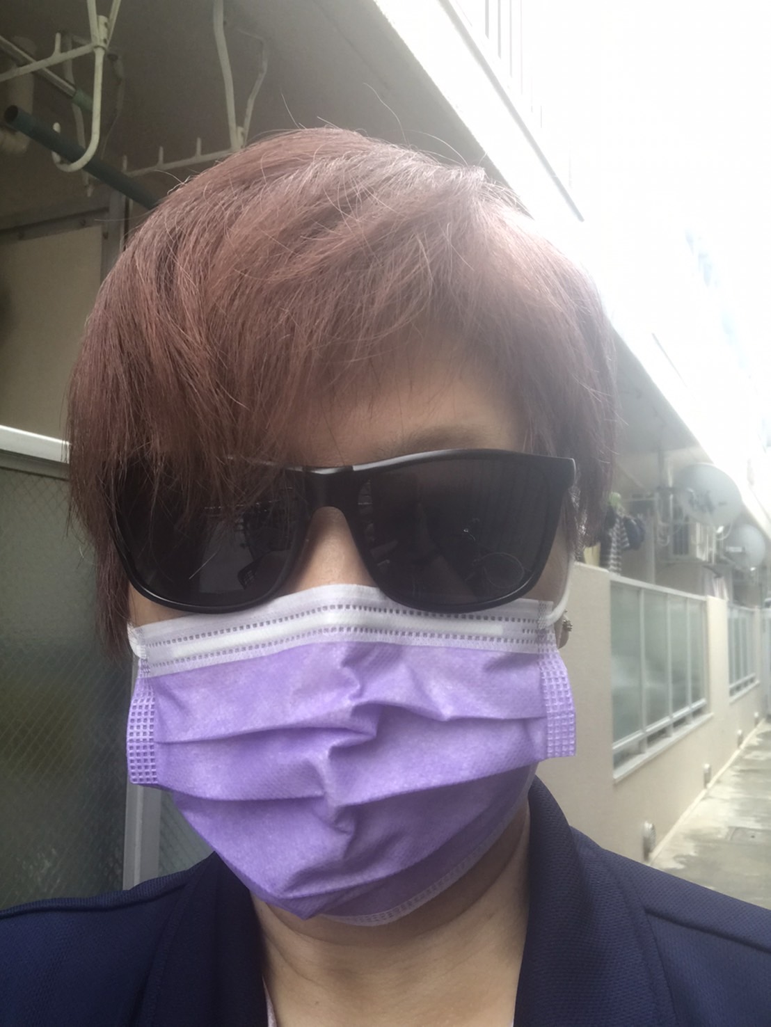 蓮